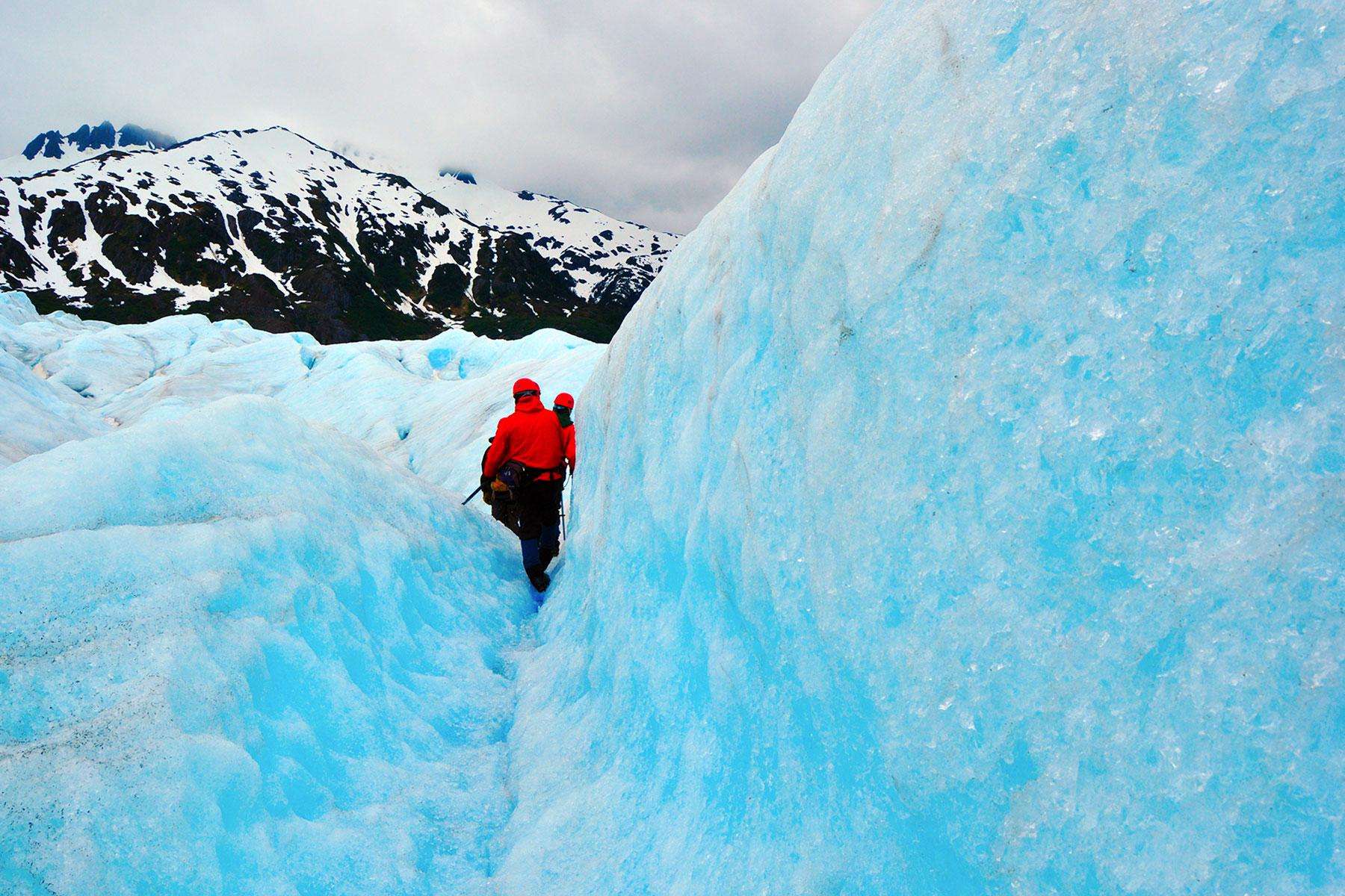 12 Things You Absolutely Need to Do on an Alaskan Cruise ...