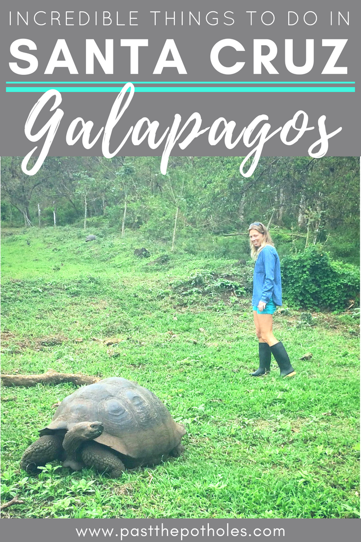 16 Amazing Things to do in Santa Cruz, Galapagos (and most ...