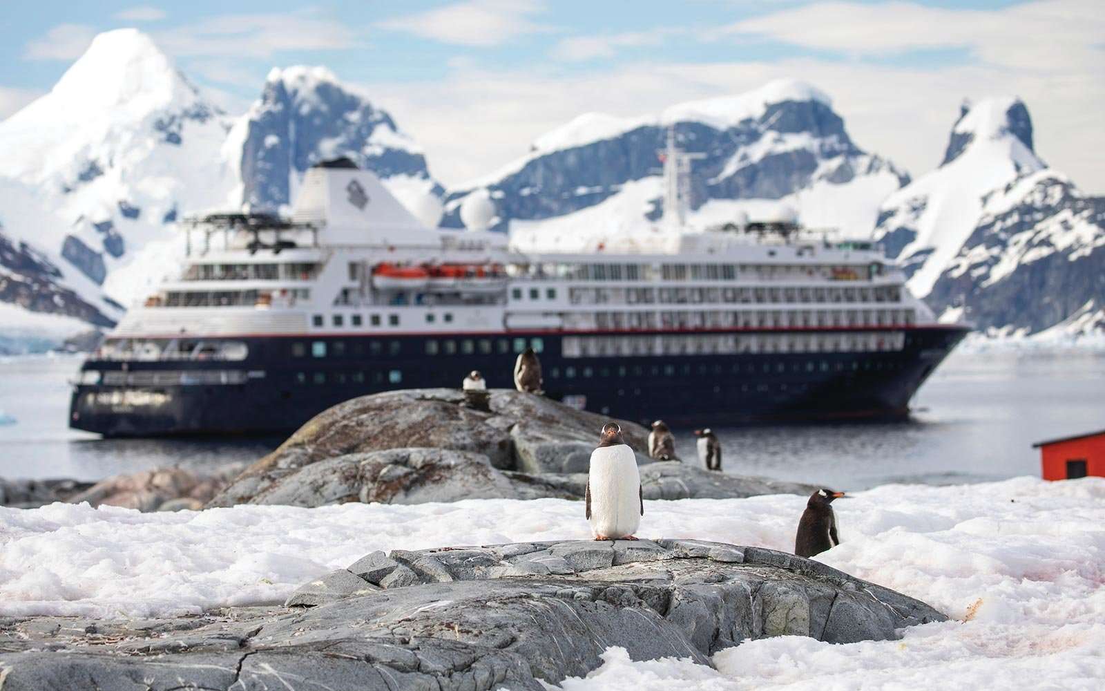 5 Ways to Visit Antarctica, From Photography Journeys to ...