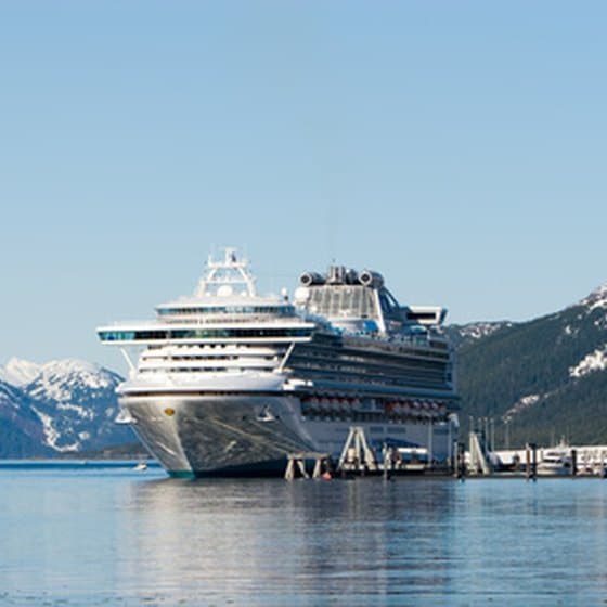 Checklist for an Alaskan Cruise