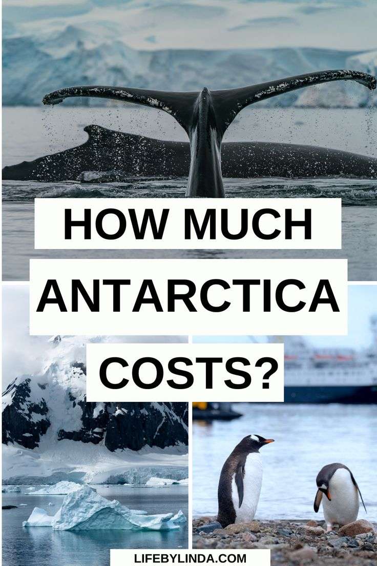How much does Antarctica cost?