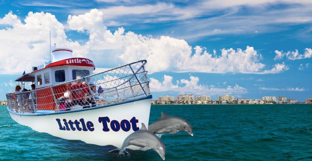 Little Toot Dolphin Adventures