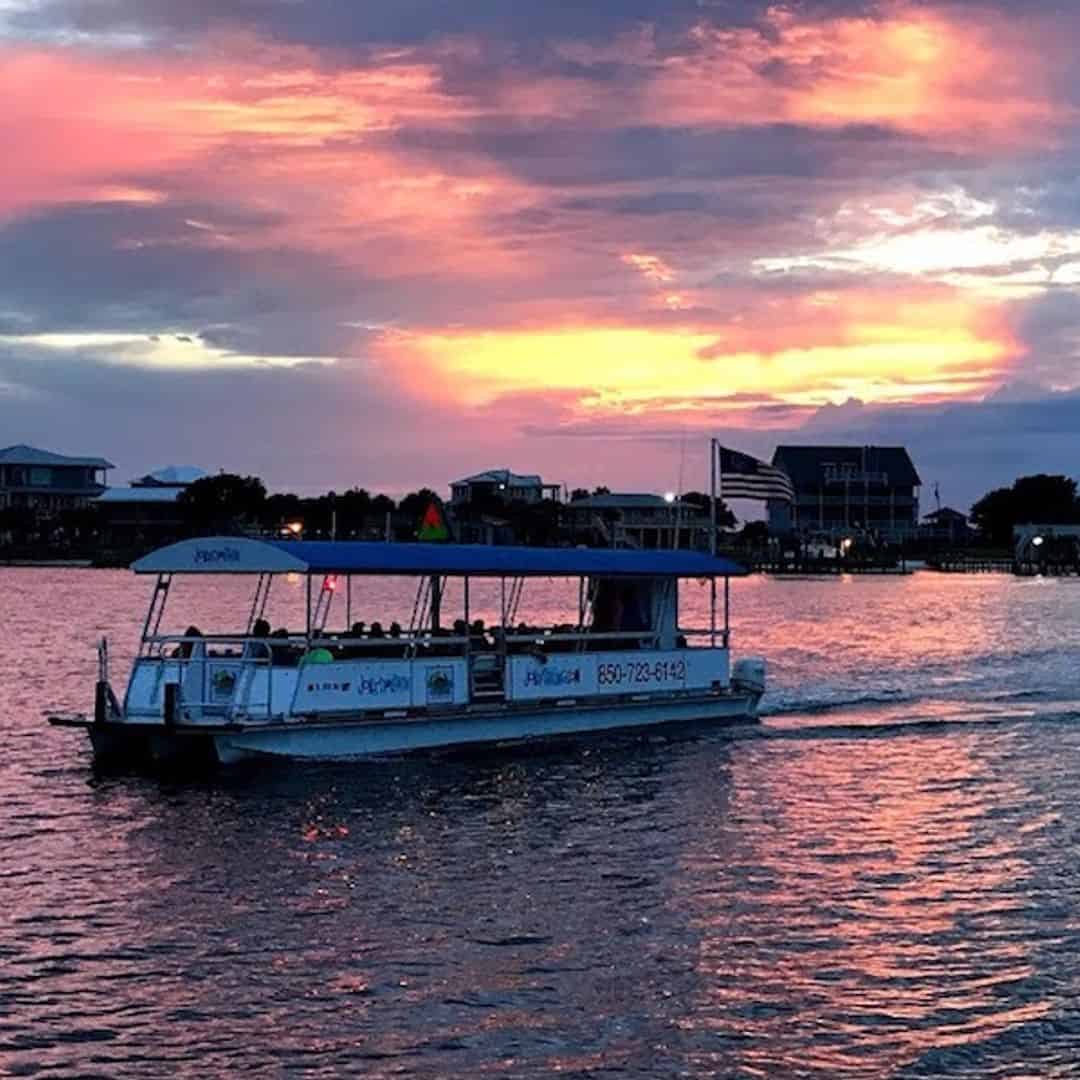 Sunset Dolphin Cruise and Scenic Bay Tour