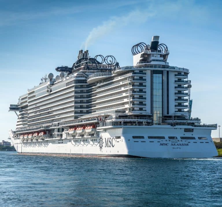 This Cruise Line Is Gaining Huge Popularity In The U.S. And Is Taking ...